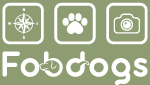 fobdogs - 